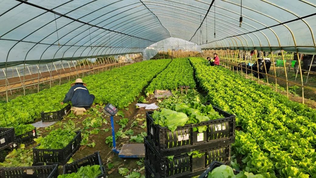 尊龙时凯·(中国)人生就是搏!