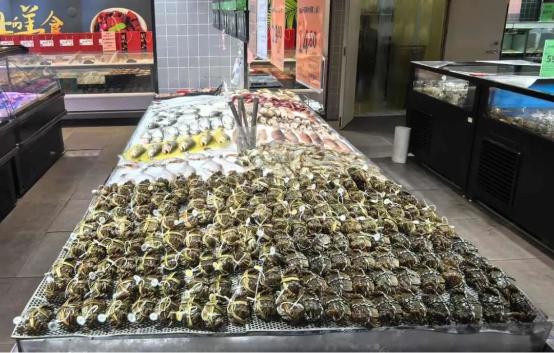 尊龙时凯·(中国)人生就是搏!