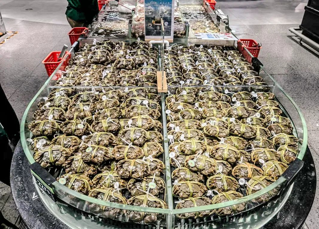 尊龙时凯·(中国)人生就是搏!