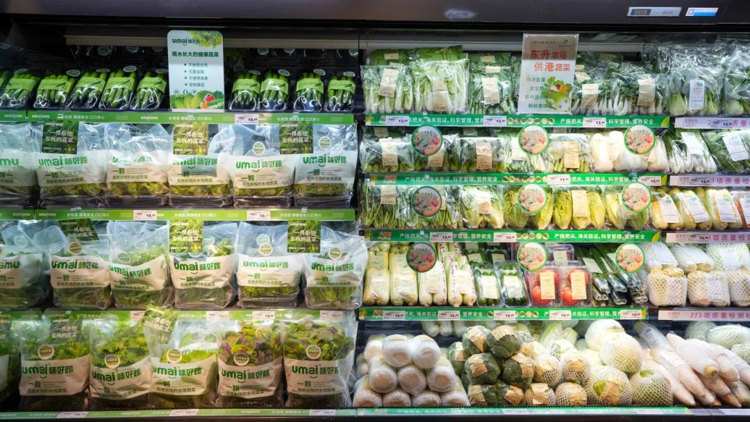 尊龙时凯·(中国)人生就是搏!