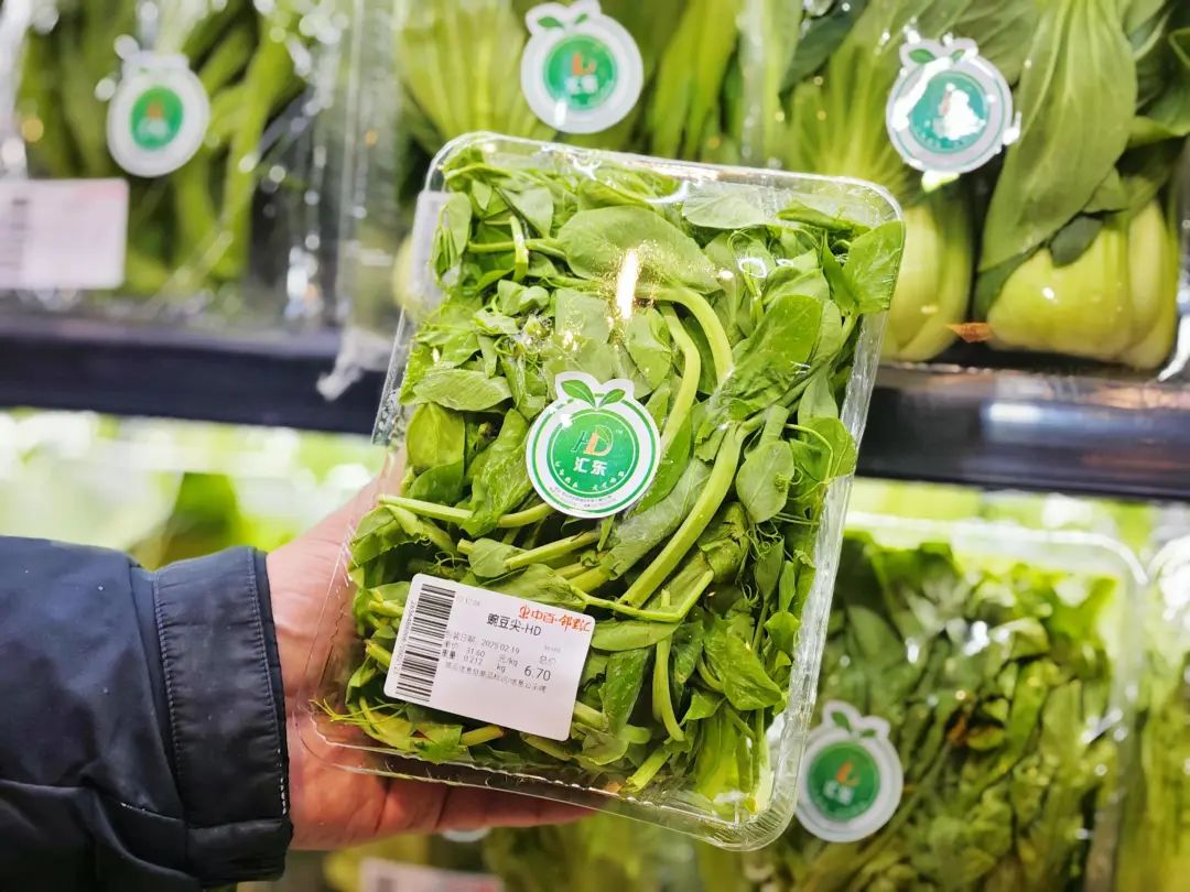 尊龙时凯·(中国)人生就是搏!