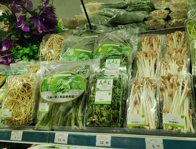 尊龙时凯·(中国)人生就是搏!