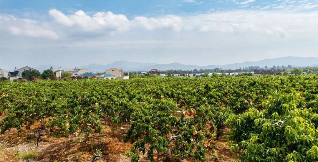 ×ðÁúʱ¿¡¤(Öйú)ÈËÉú¾ÍÊDz«!