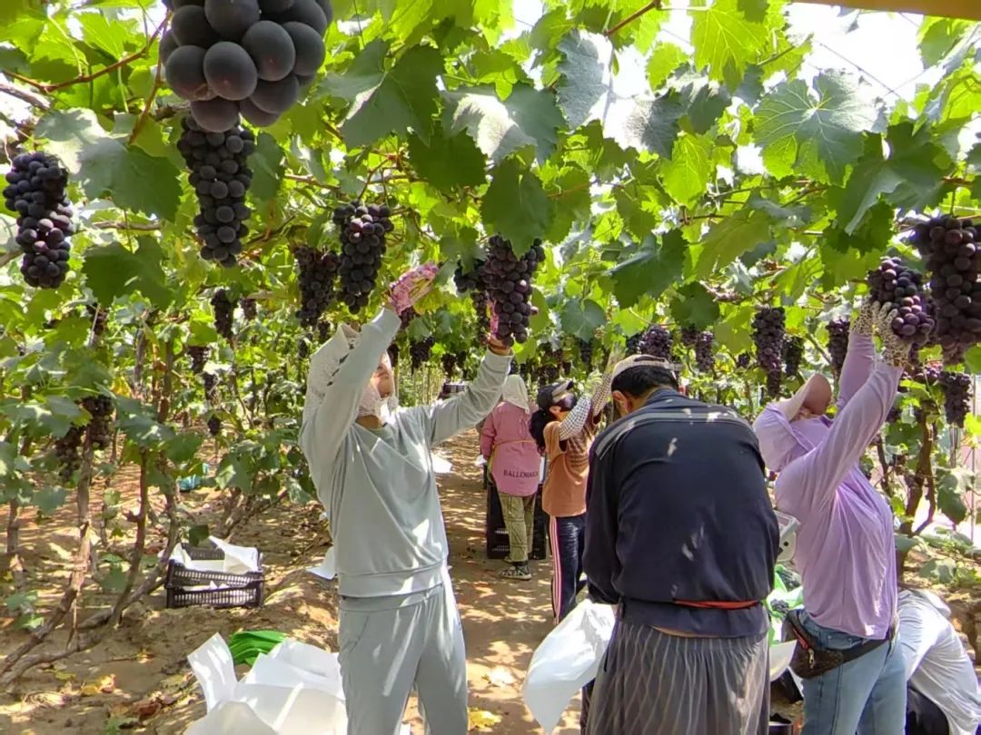 尊龙时凯·(中国)人生就是搏!