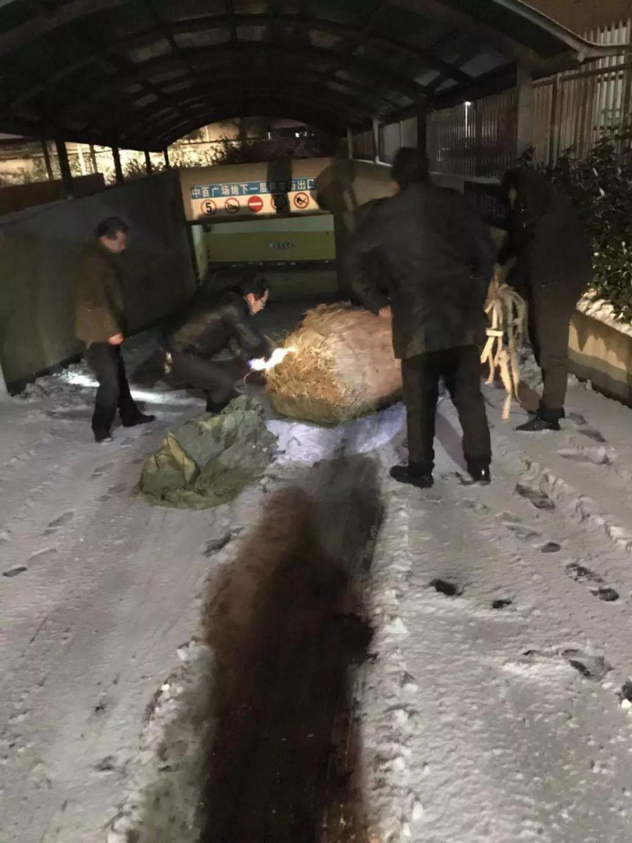 ����ʱ����(�й�)�������ǲ�!