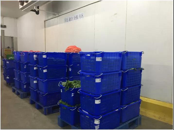 ����ʱ����(�й�)�������ǲ�!