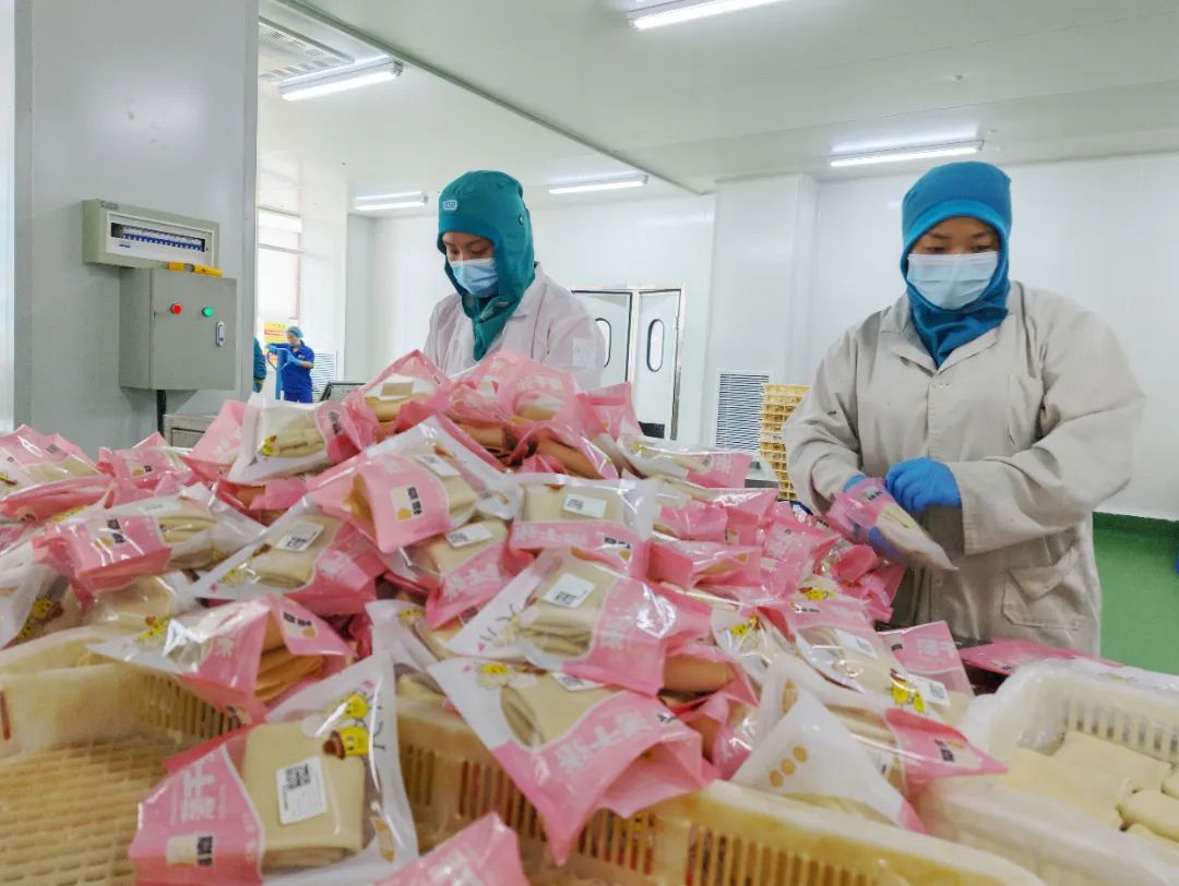 尊龙时凯·(中国)人生就是搏!