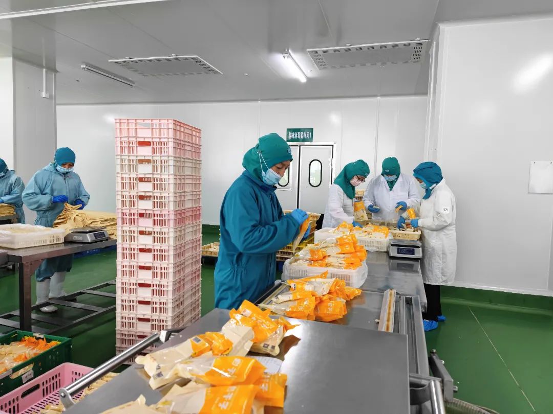 尊龙时凯·(中国)人生就是搏!