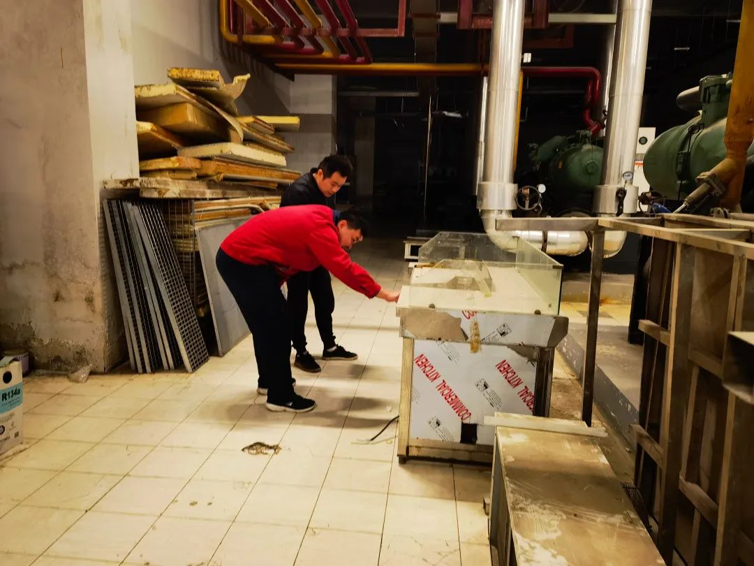 ×ðÁúʱ¿¡¤(Öйú)ÈËÉú¾ÍÊDz«!