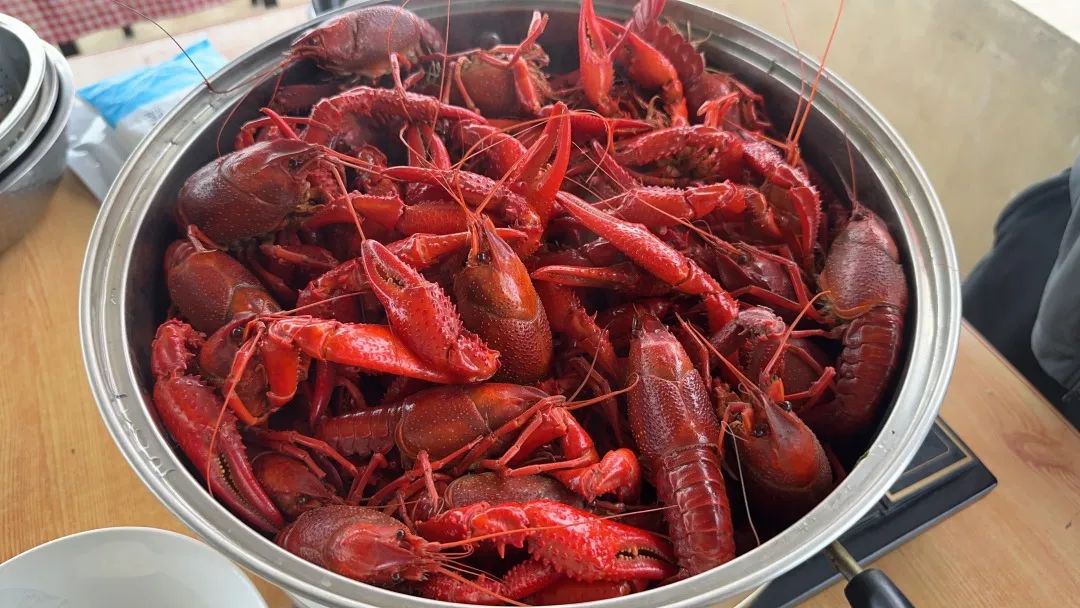 ×ðÁúʱ¿¡¤(Öйú)ÈËÉú¾ÍÊDz«!