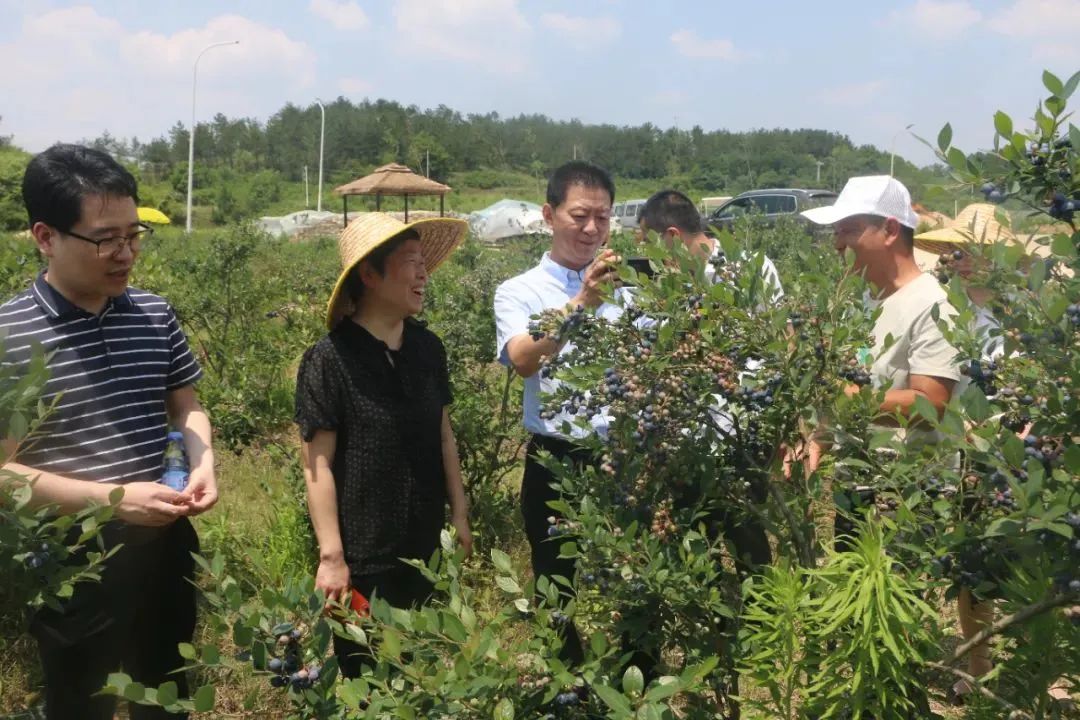 尊龙时凯·(中国)人生就是搏!
