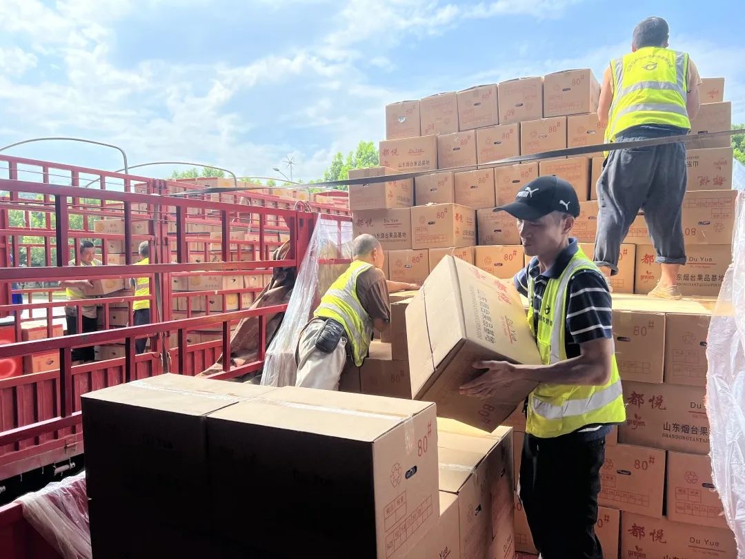 尊龙时凯·(中国)人生就是搏!