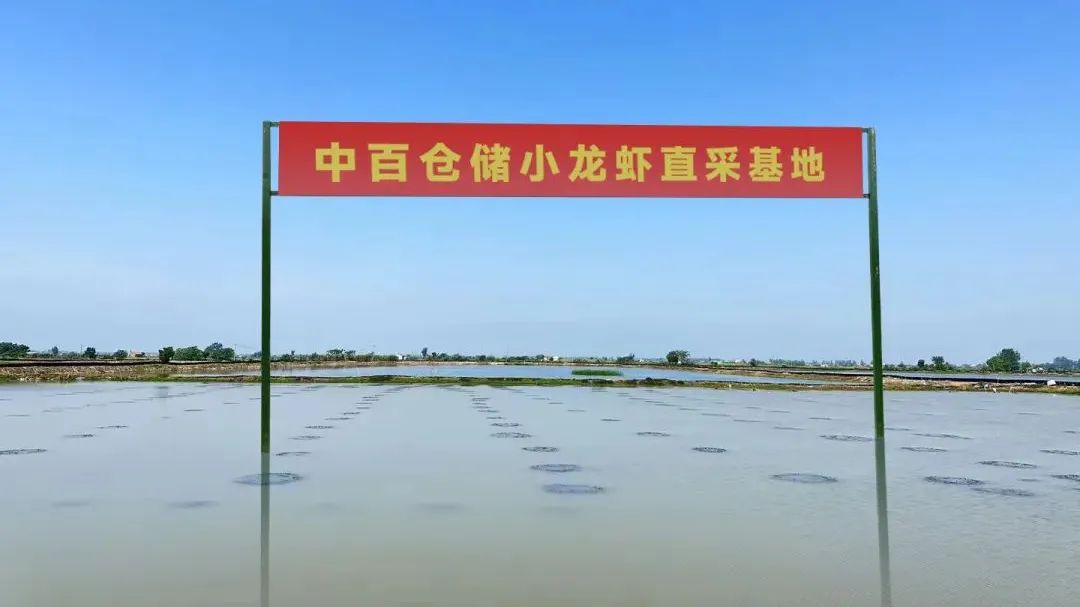 尊龙时凯·(中国)人生就是搏!