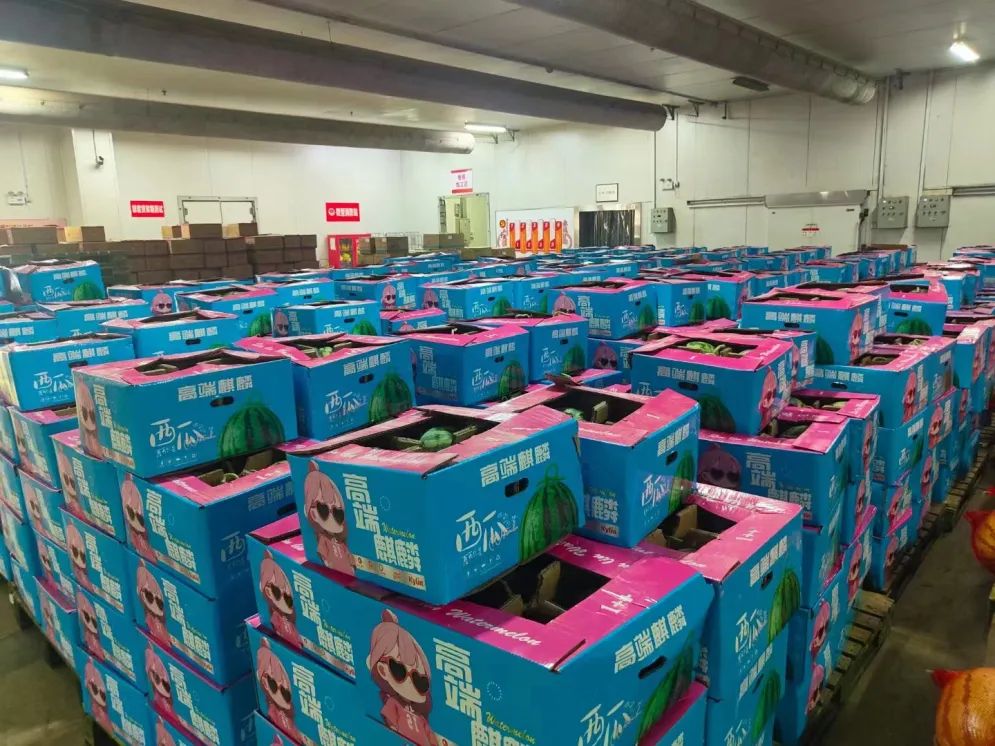 ×ðÁúʱ¿¡¤(Öйú)ÈËÉú¾ÍÊDz«!